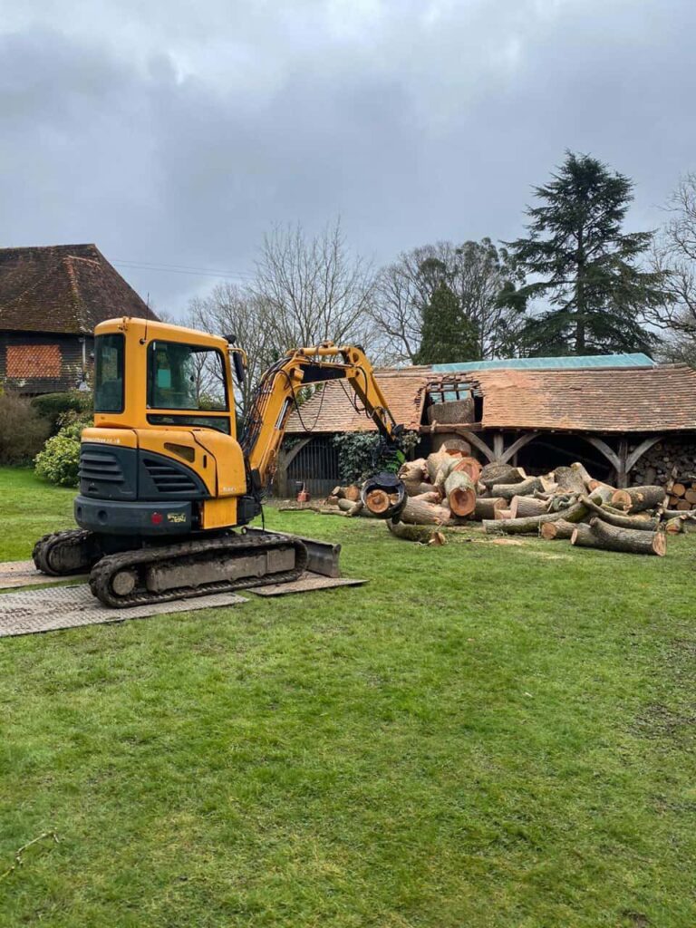 This is a photo of a tree which has grown through the roof of a barn that is being cut down and removed. There is a digger that is removing sections of the tree as well. Shefford Tree Surgeons