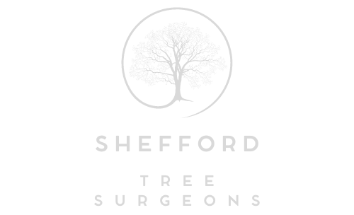 Shefford Tree Surgeons